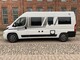 Carado CV600 15 Years Edition, Fiat
