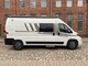 Carado CV600 15 Years Edition, Fiat