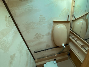 Polar 520