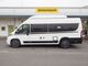 Laika ECOVIP CV 645, Fiat
