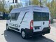 Adria Twin Axess 540 SP, Fiat