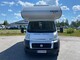 Knaus Sport tr, Fiat