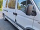 Nissan Interstar, Other Chassis