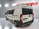 Adria Twin 600 SP, Fiat