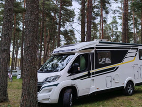 Hymer 