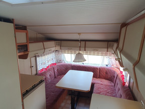 Solifer 550