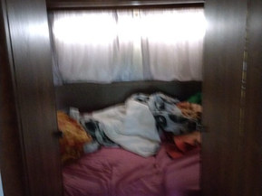 Hymer 