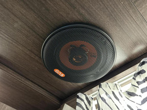 Polar 560