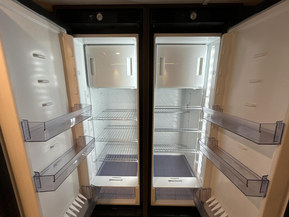 Polar 730