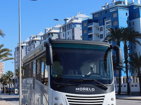 Morelo 