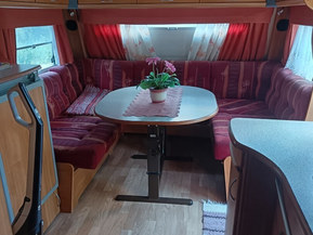 Polar 560