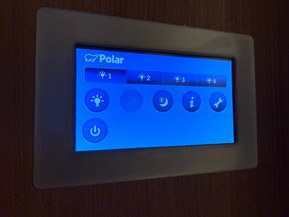 Polar 590
