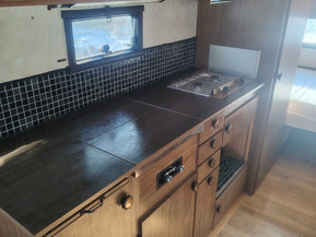 Polar 550